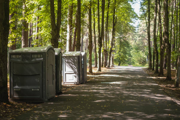 Best Affordable portable toilet rental  in Lone Jack, MO